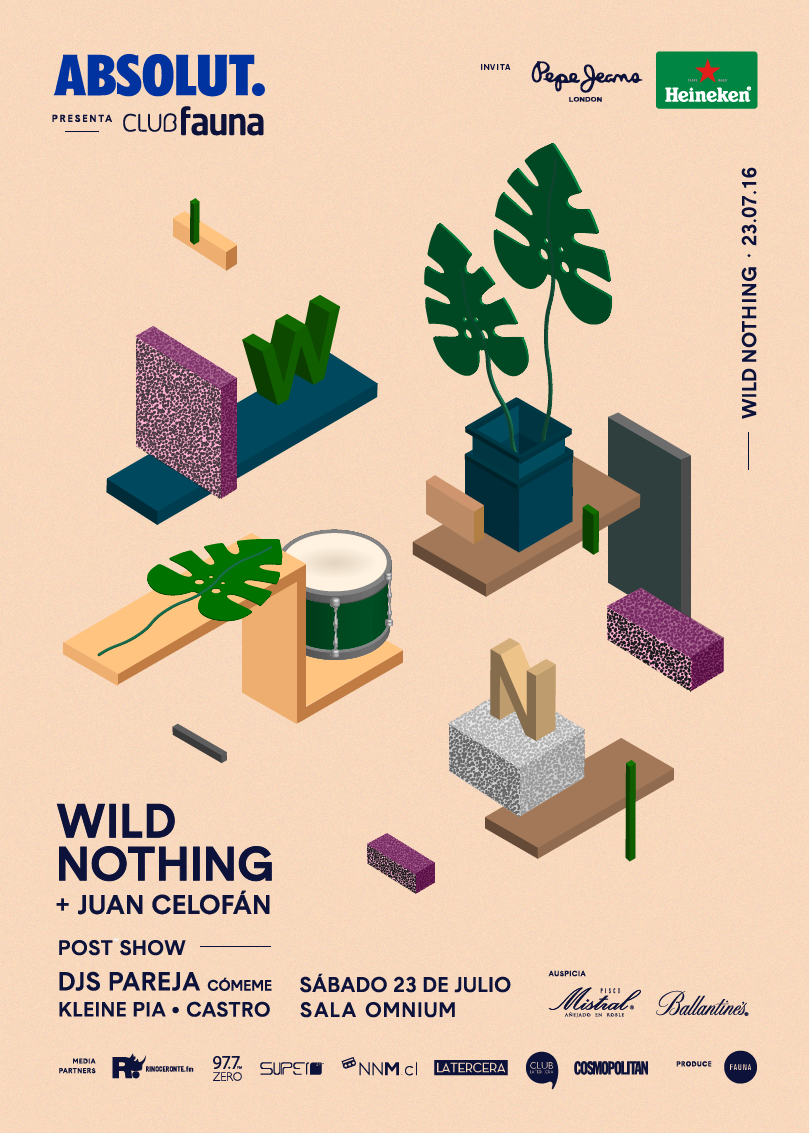 wild-nothing-cartel